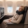 Lexus Travel Pillow