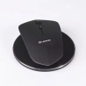 Lexus Mouse & Charger Set - 1