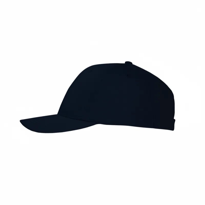 Lexus Electrified Caps - 6PCS - 4