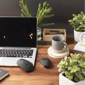 Lexus Mouse & Charger Set - 1 (2)