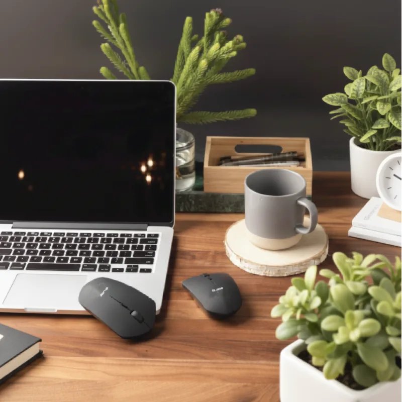 Lexus Mouse & Charger Set - 2