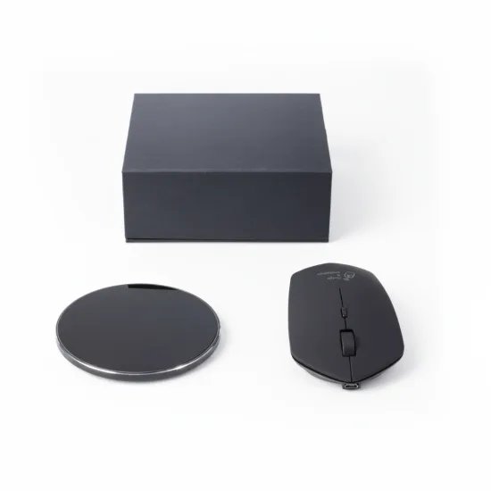 Lexus Mouse & Charger Set - 4