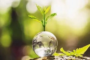 Lexus Boutique - Lexus Eco